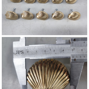 10 Knobs Shell Shape 5cm Seaside POLISHED BRASS 